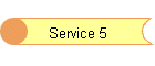 Service 5